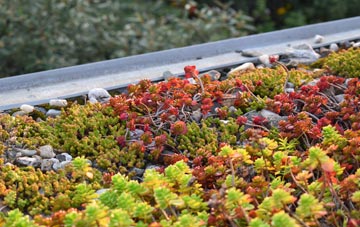 the cost of Lenborough green roof installation