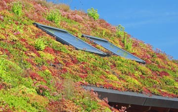 Lenborough living roof systems